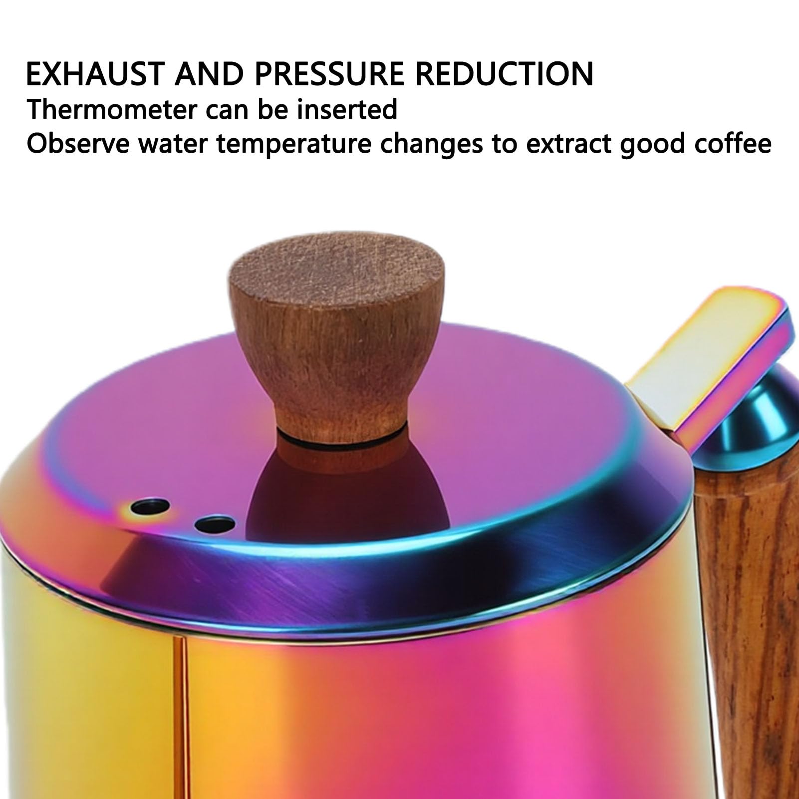 Tissting Tetera De Café De Cuello Ganso Acero Inoxidable 600ml Con Mango De Madera