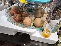 Review Image by MGUTTRIDGE MGUTTRIDGE