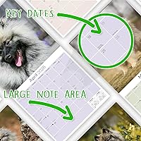 Vista 522 de Razas de Perros 2017