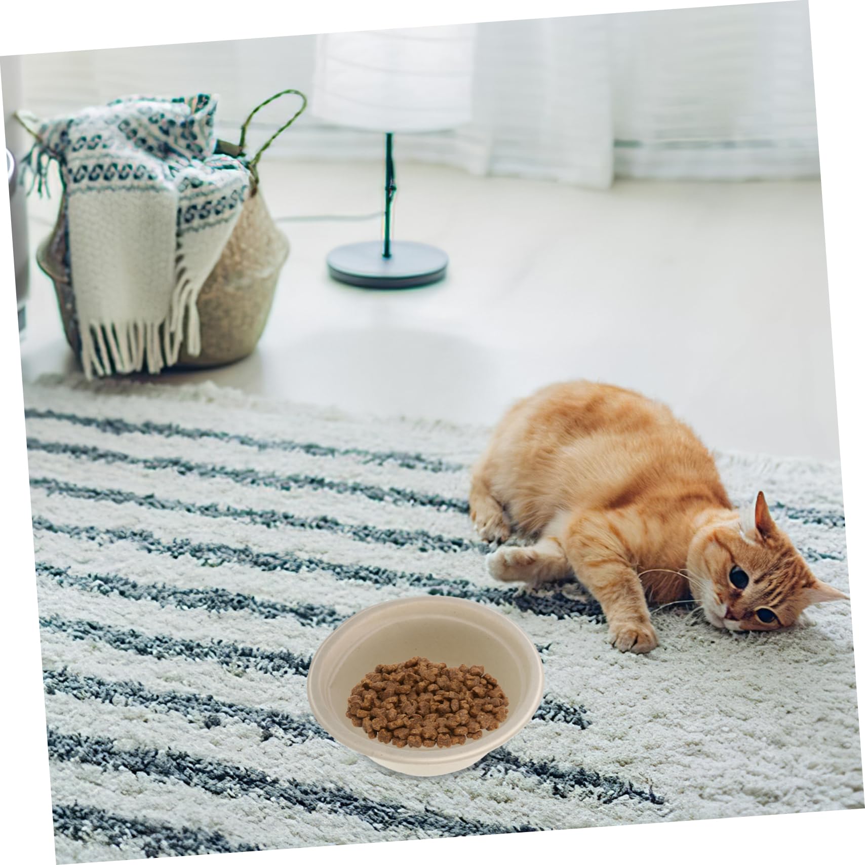 Sosoport Straw Pulp Pet Feeding Bowl Cat Dog Water Food Bowl Disposable Easy to Use for Outdoor Adventures