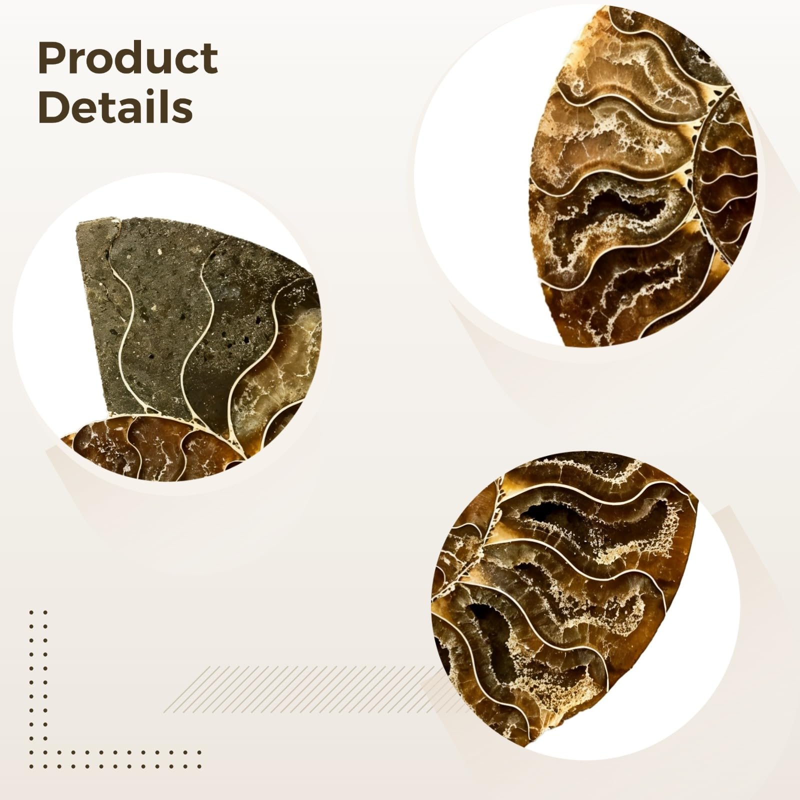 Spécimen de fossile d'ammonite naturelle, design de coquillage unique, cadeaux pour les collectionneurs de roches et les amateurs de nature, 9-11 cm, pièce unique, fabriqué à la main