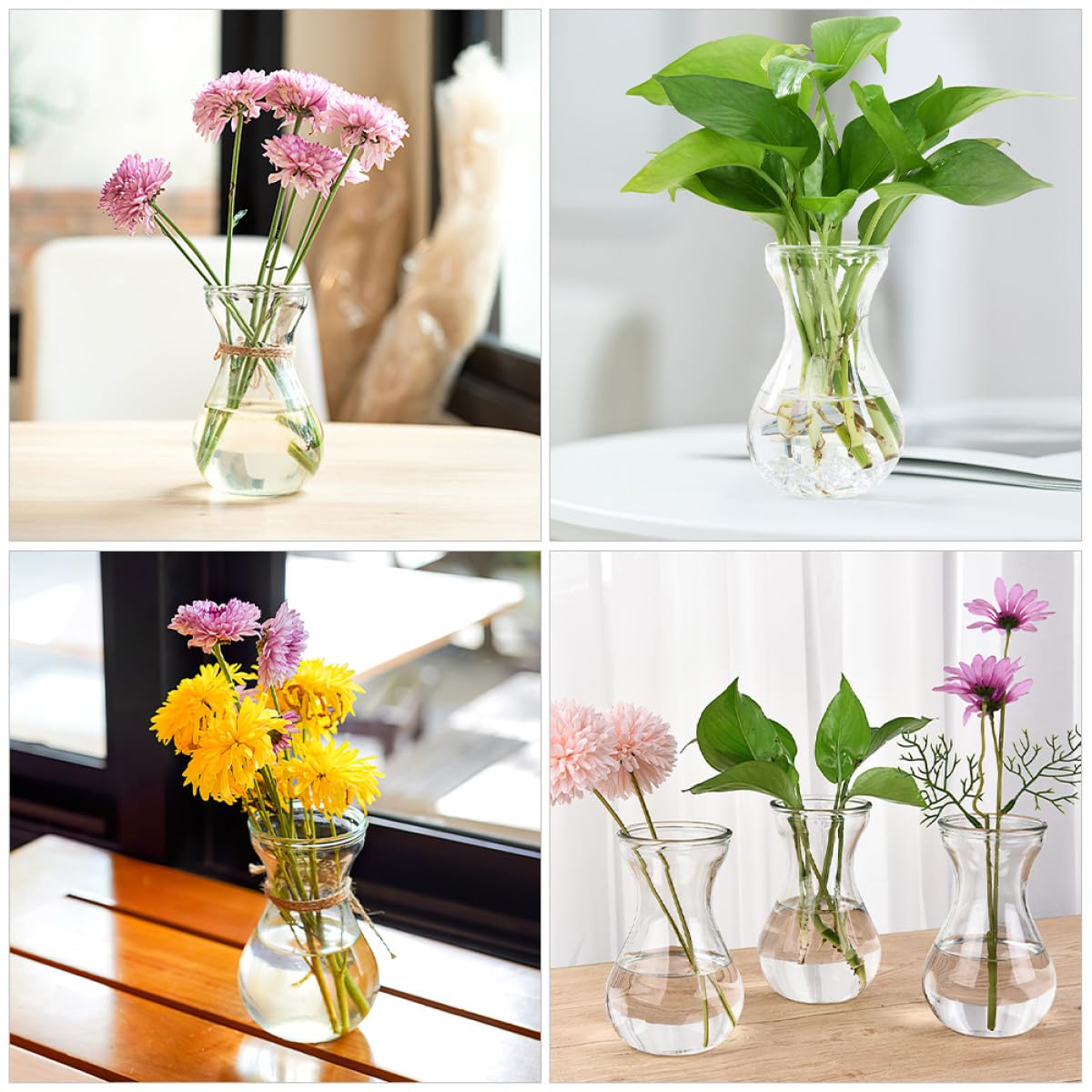 5 pièces Lot de Vases Verre Simples pour Jacinthe Pots de Propagation Hydroponique Vase Centre de Table Décoratif pour Maison et Bureau