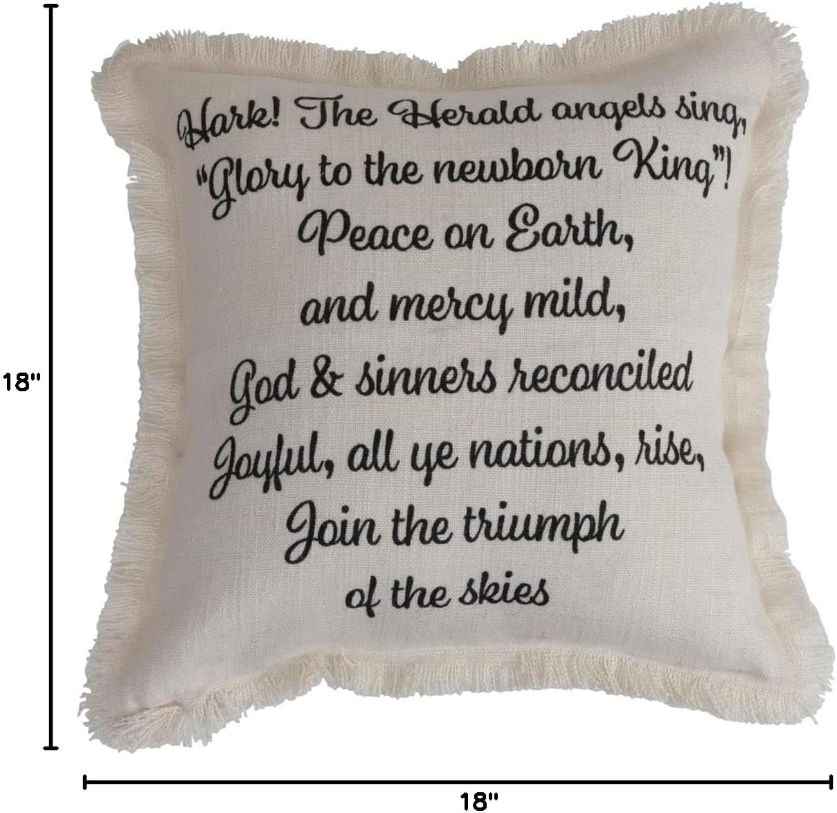 Creative Co-Op 18" Square Viscose Fringe Pillow