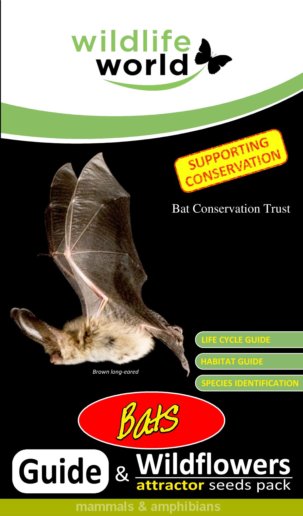 Wildlife World Fleurs Sauvages pour Chauve-Souris Top 10