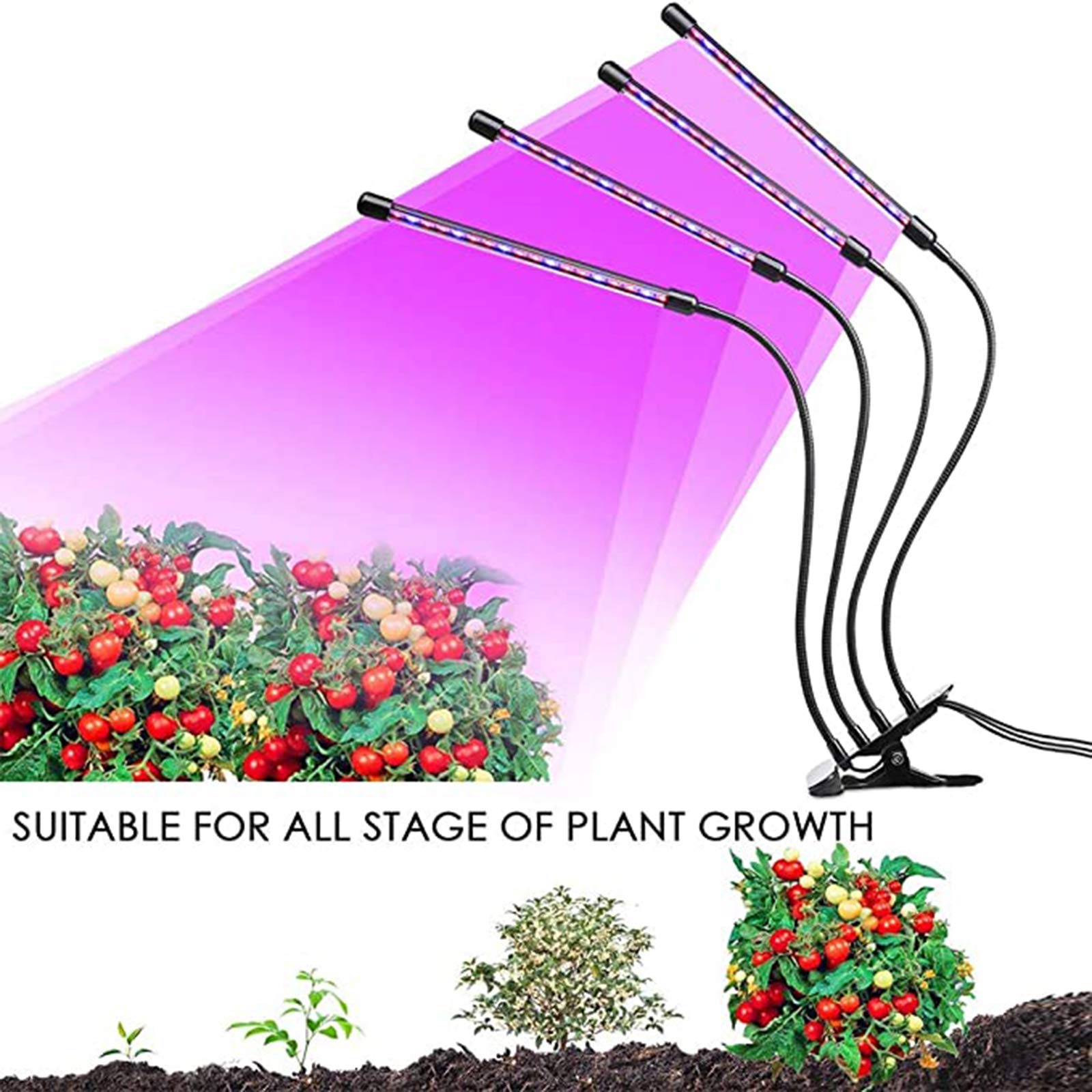 Lampes de culture d'intérieur, lumière de croissance pour plantes d'intérieur, lumière de plante à clip de bureau à 3 têtes à spectre complet 3 modes et réglage de la minuterie à intensité variable à