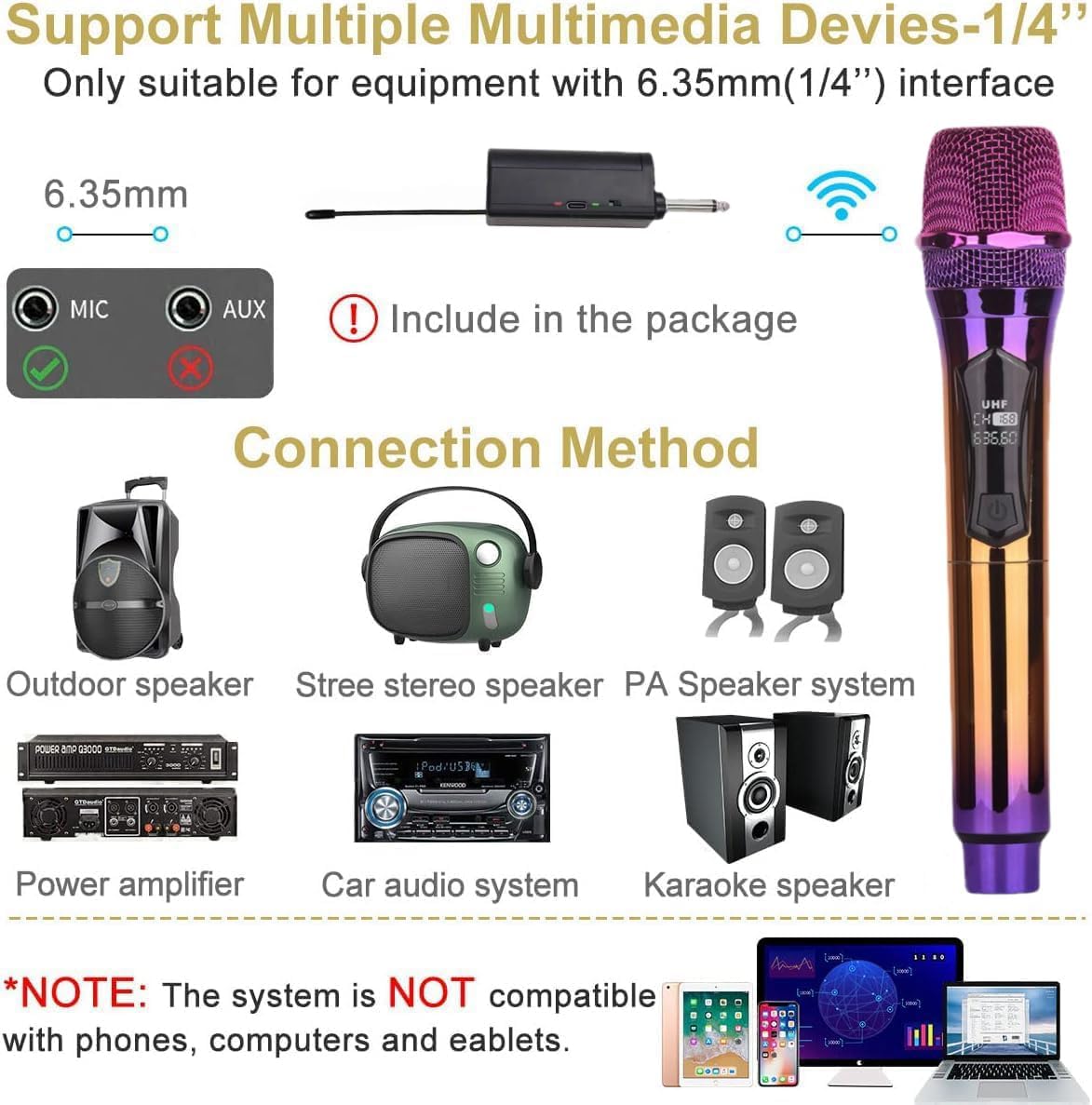 Diagram showing compatibility with various audio devices via 6.35mm MIC input, excluding AUX input, Bluetooth speakers, and laptops
