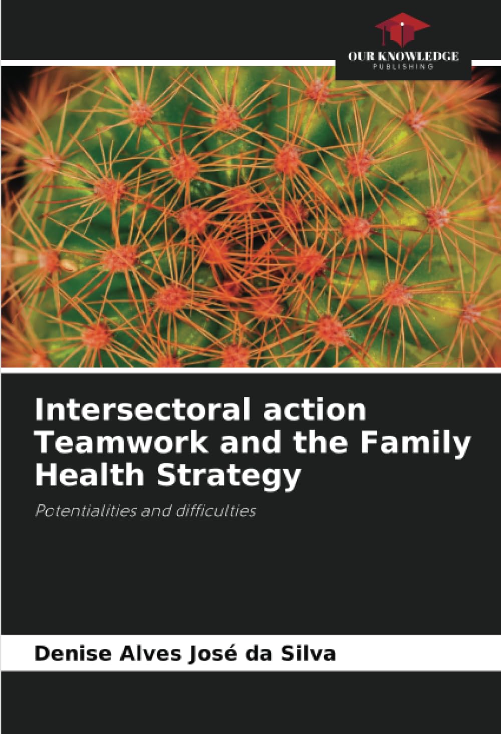 Intersectoral action Teamwork and the Family Health Strategy: Potentialities and difficulties