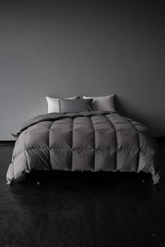 Goose Feather Down Fiber Comforters, Luxurious Fluffy Duvet Insert, Ultra Soft, Skin-Friendly, Noiseless, All Season Premium Hotel Bedding Comforters Grey, Twin Grey, Oversized King