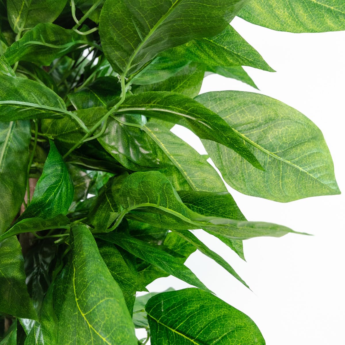 BLAINE Piante Finte da Interno Albero di Mango 150 cm Aspetto Iperrealistico per Decorazione Casa e Ufficio Senza Manutenzione