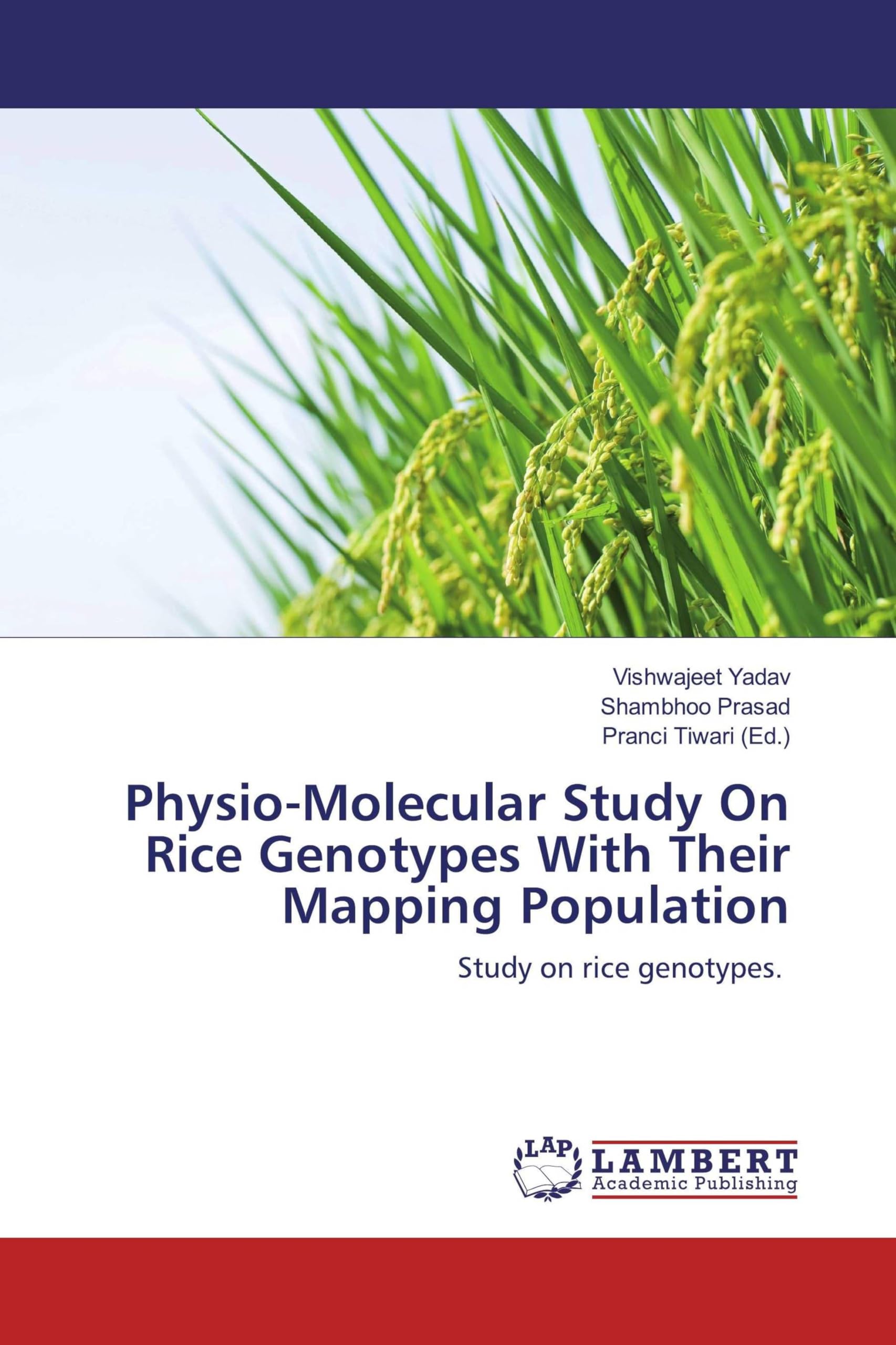 Physio-Molecular Study On Rice Genotypes With Their Mapping Population: Study on rice genotypes.