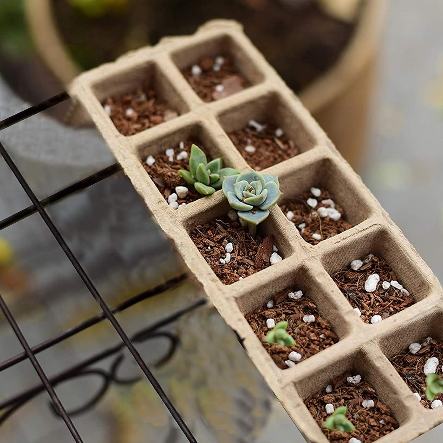 SYOURSELF Peat Pots Biodegradable Seedling Starter Pots 2.4"/3" Plant Starters Kits Recycled Paper Planting Cup Herb Plant Starting Pots for Indoor Plant Seed Germination with Waterproof Labels