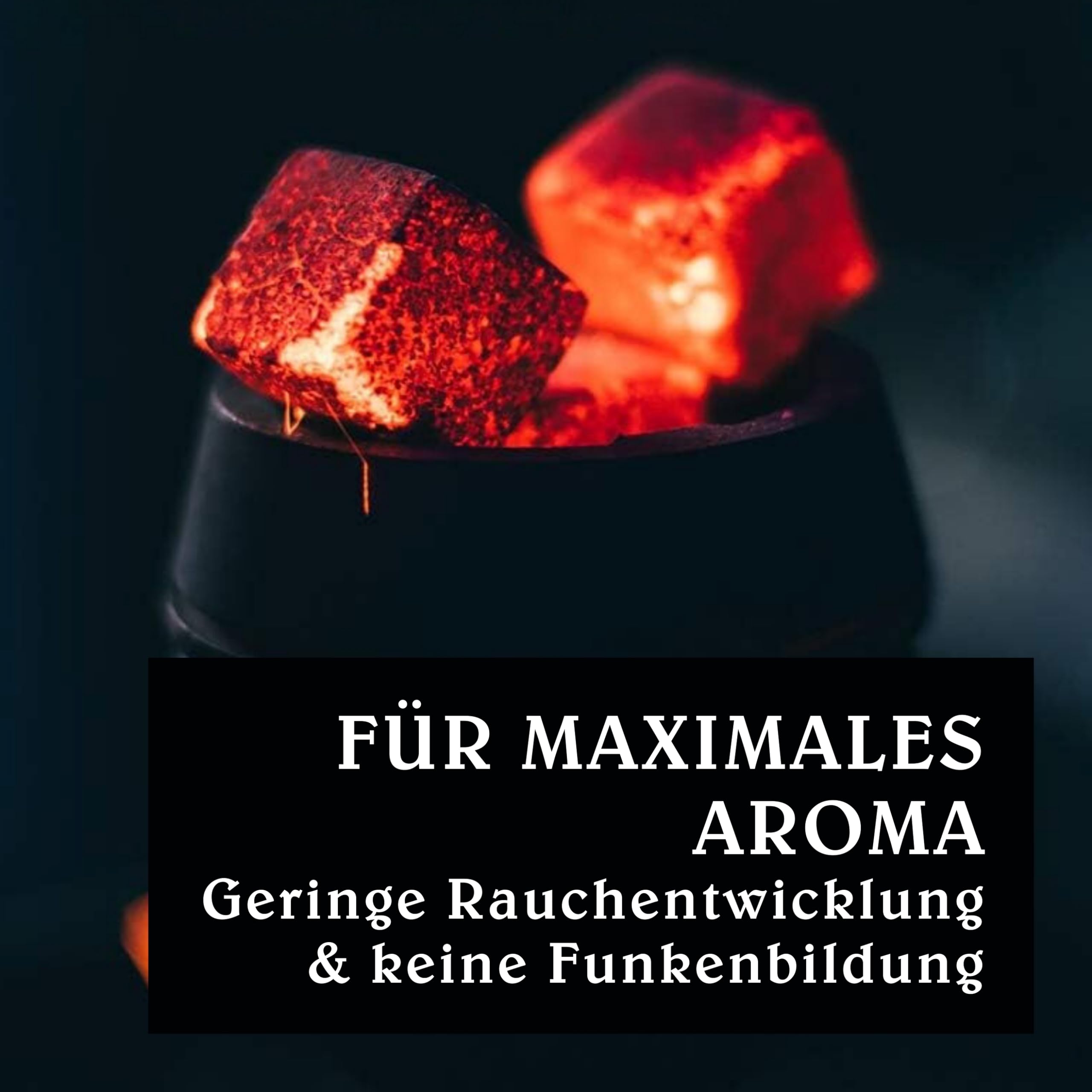Kokosnuss Kohle Cubes 40x40mm 6kg I Kohlewürfel mit Zugloch I Nachhaltige Naturkohle mit Langer Brenndauer & wenig Asche I Grillkohle mit geringer Rauchentwicklung