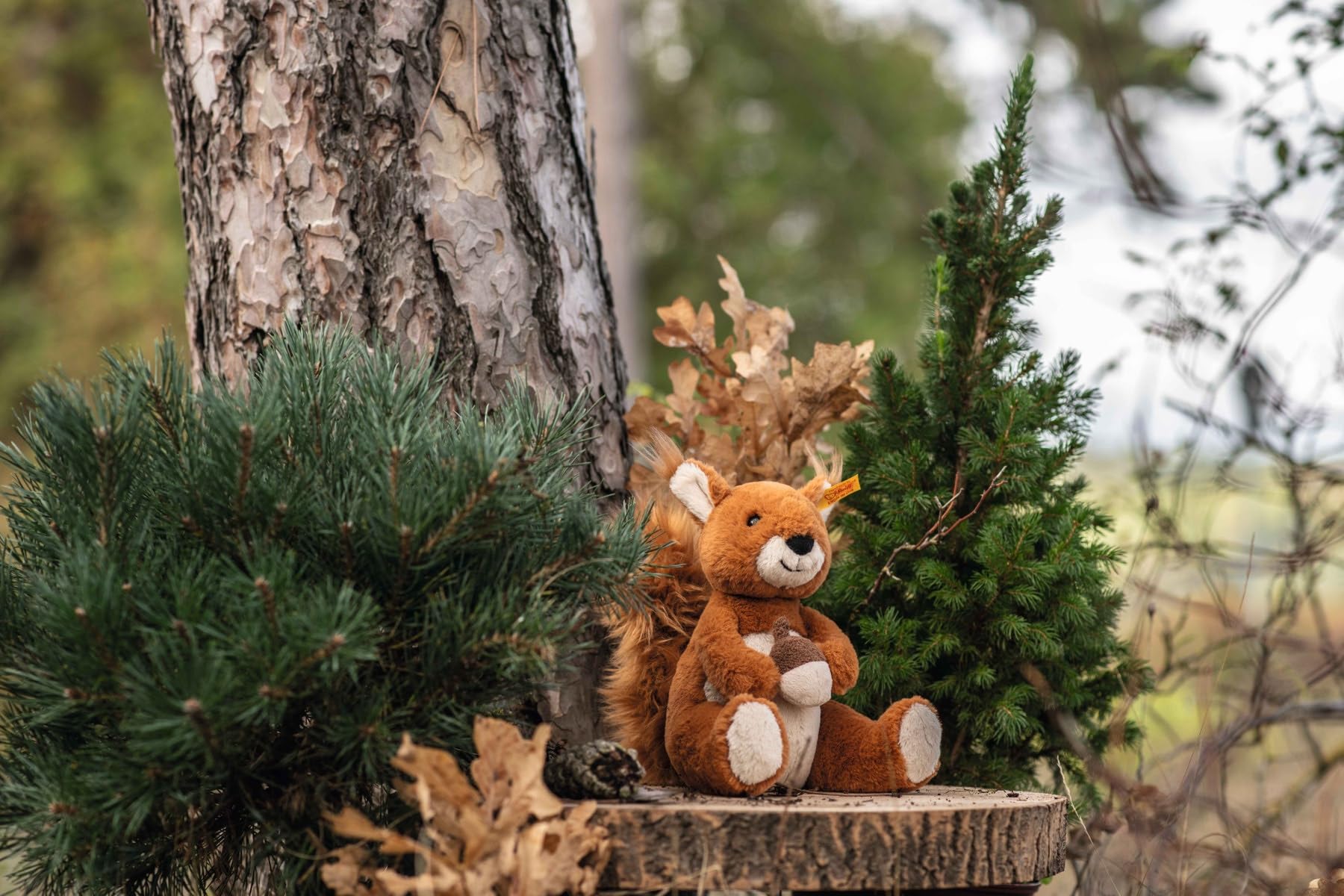 Steiff 045172 Phil squirrel 20 russet, Glazed Ginger, 20 cm - Image 3