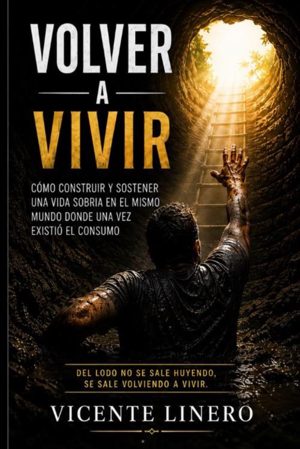 volver a vivir: como construir y sostener una vida sobria en el mismo mundo donde una vez existió el consumo