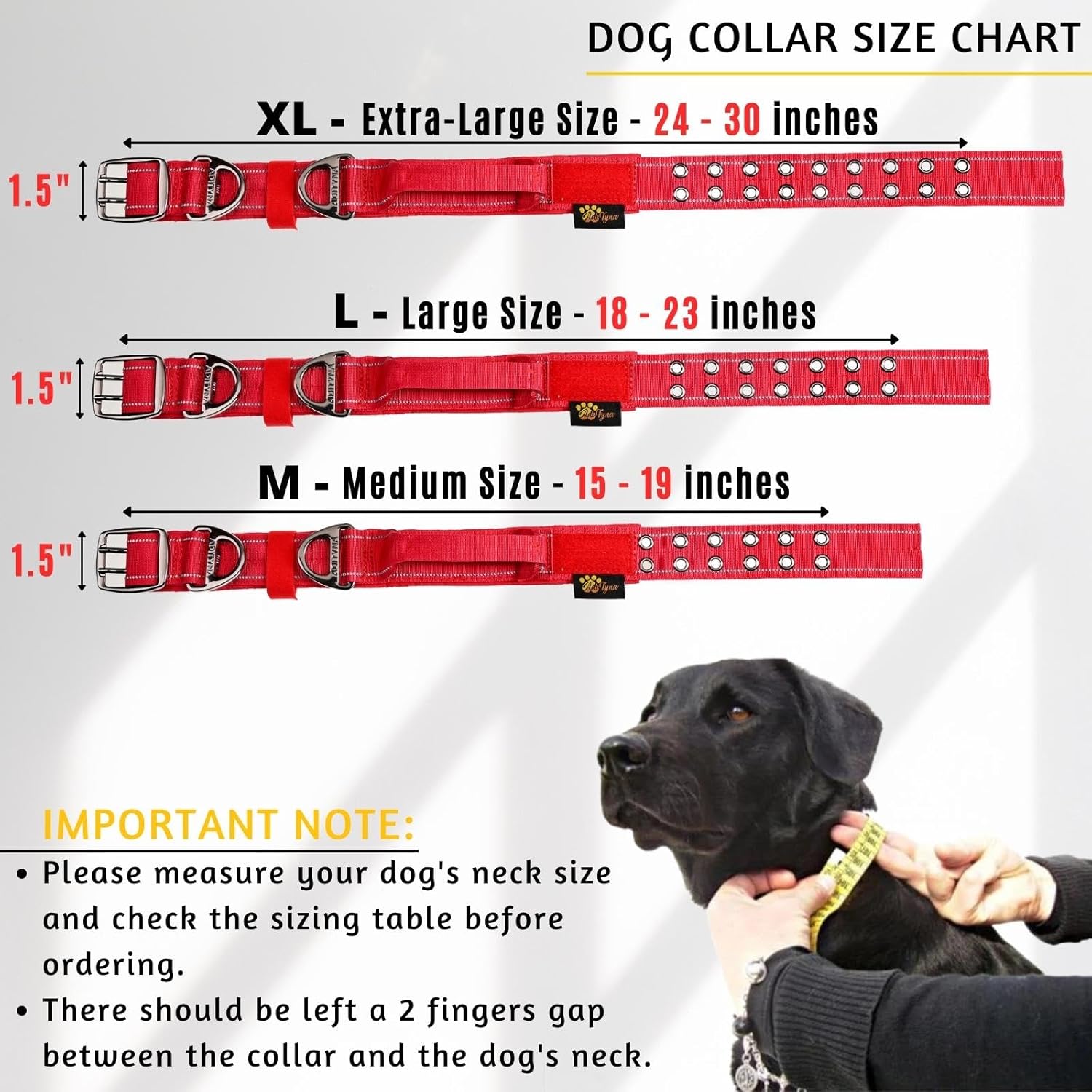 Heavy Duty Dog Collar for Medium Dogs with Handle and Bungee Dog Leash 6ft