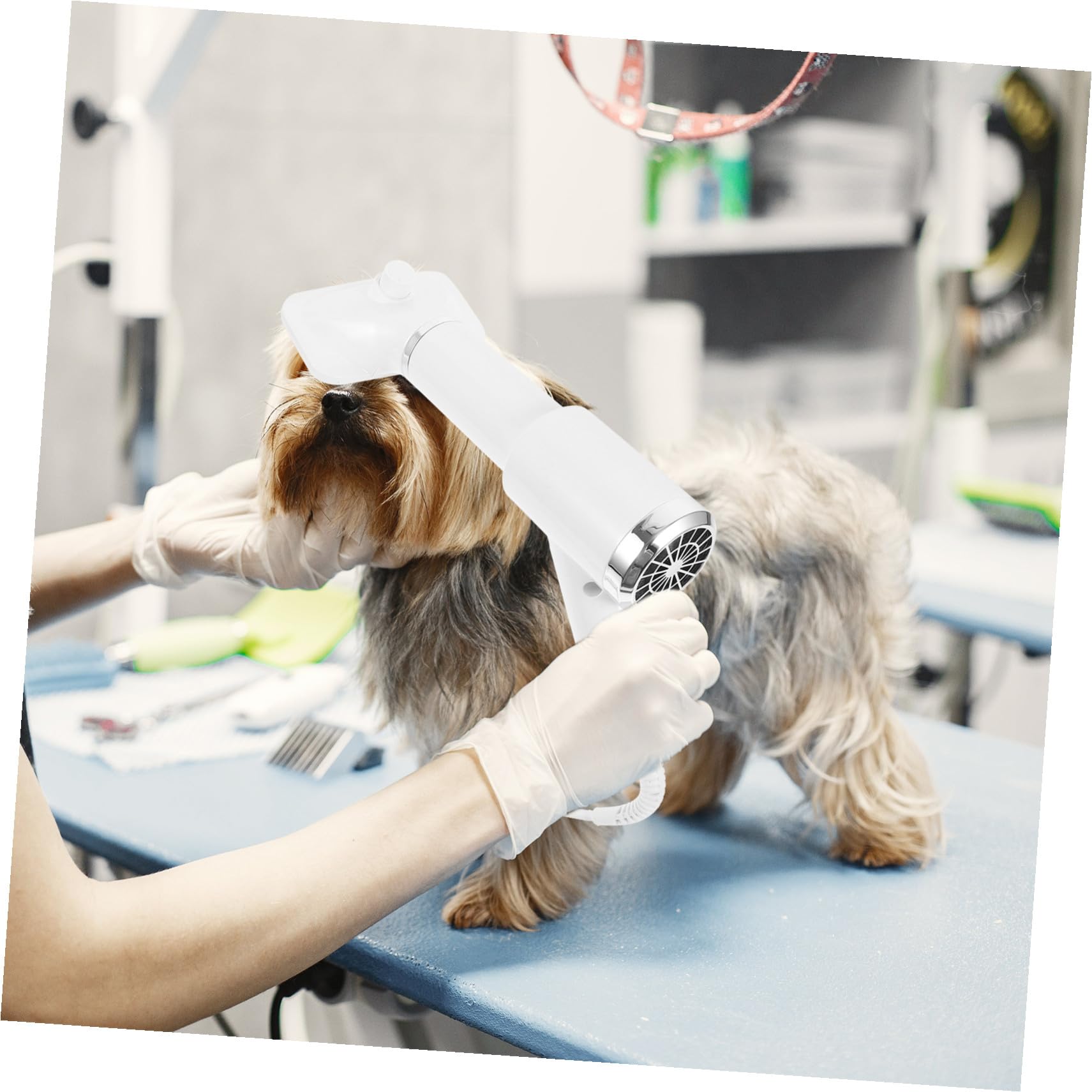 SHINEOFI Souffleur pour Animaux Domestiques Blanc en Plastique, Brosse Sèche-cheveux Multifonction pour Chien et Chat, Peigne Démêlant Portable pour Toilettage Facile