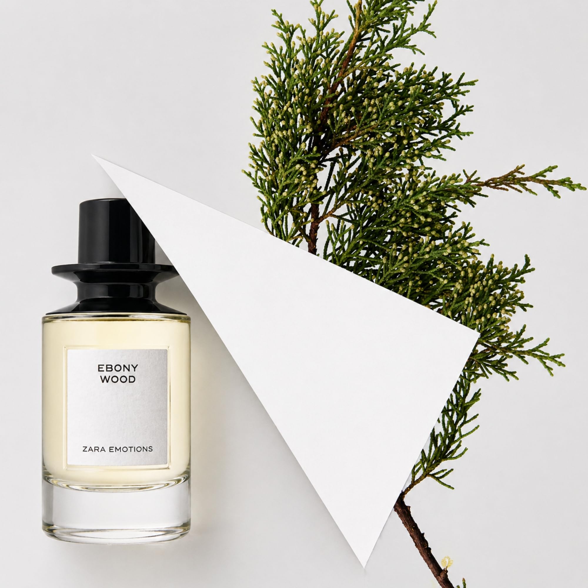 EBONY WOOD Parfüm Eau de Parfum 100ml – Holzig-würziger Unisex Duft mit Grapefruit, Zypresse, Rosa Pfeffer, Kaffee, Patchouli & Vetiver – Elegantes langanhaltendes Parfum für Damen und Herren