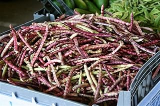 Mississippi Purple Pea Seeds (25+ Seeds)