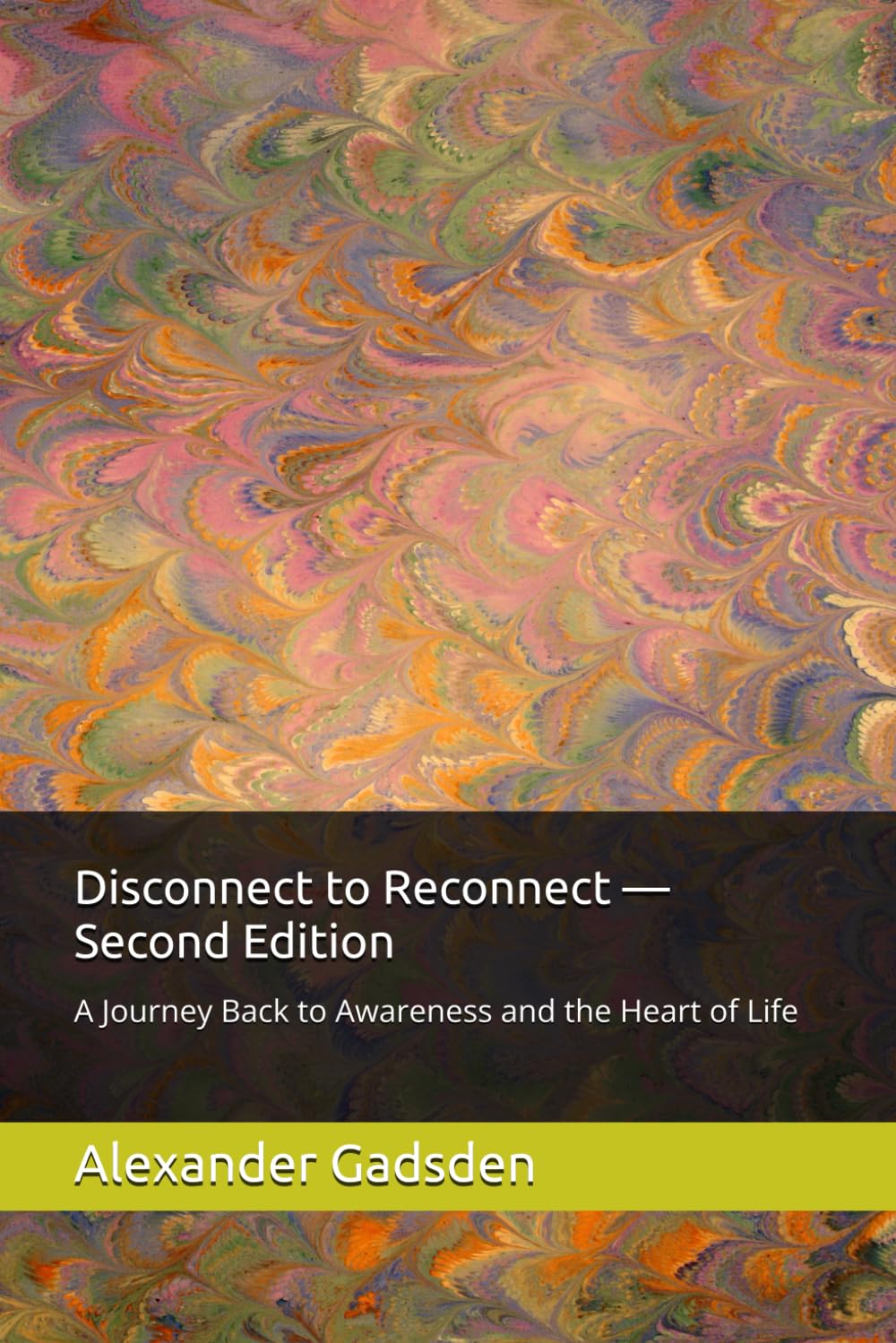 Disconnect to Reconnect — Second Edition: A Journey Back to Awareness and the Heart of Life