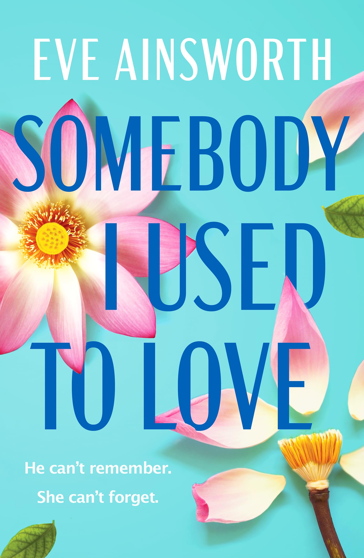 Somebody I Used to Love : The most emotional, unforgettable love story