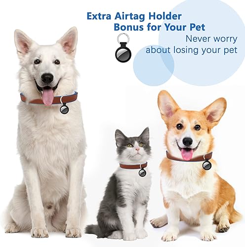 Miniatura 2 de Correa retráctil para perro, correa para caminar para mascotas con mango antideslizante, cinta de nailon fuerte, sin enredos, con una sola mano, con