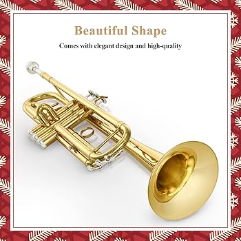 【新品未使用】BEST BRASS e-BRASS for TRUMPET 進化する低音域とうっとりするような吹き心地・e-BRASS | BEST