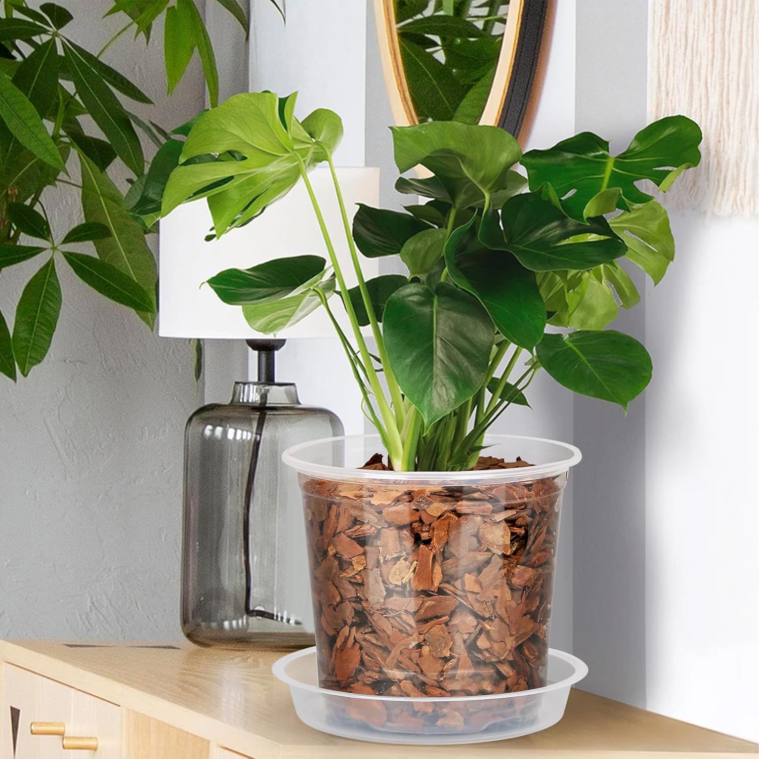 20 Pack 7 Inch Clear Nursery Pots with Drainage and Saucer, Clear Plastic Planter Pots for Plants, Flexible Seed Starting Pots for Succulents, Small Herbs, Annual Flowers (7 Inch)