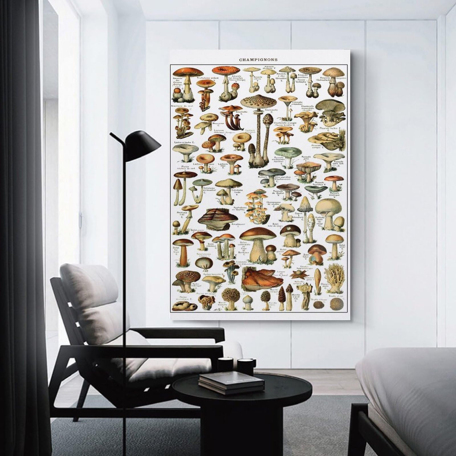 Junmoney Wall Picture Print Vinatge Mushrooms, 20x30inch(50x75cm), for Workspace Walls, Study Corners Or Bedrooms, A Smart Decor Choice for Study Walls