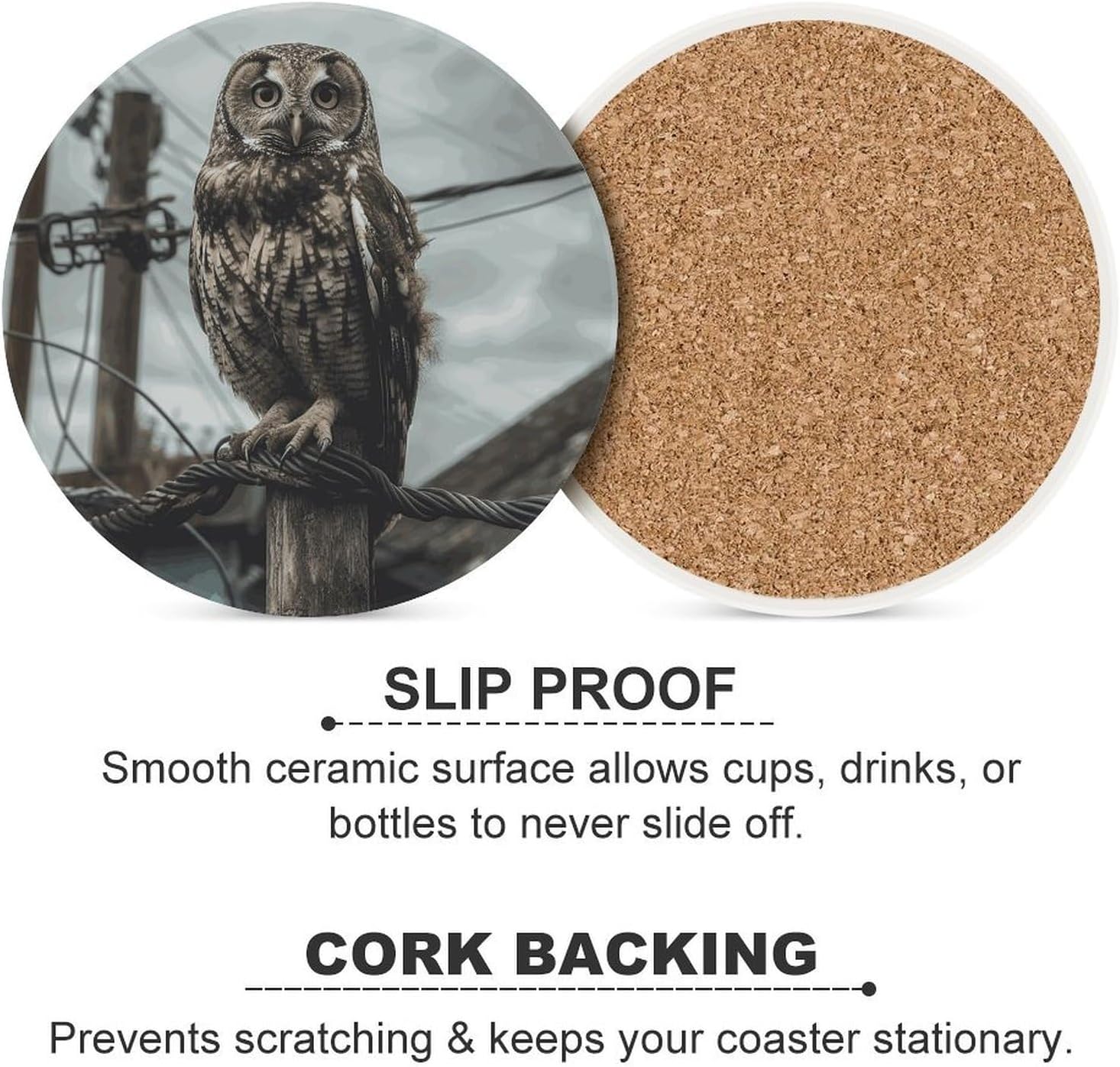Owl on Telephone Pole Coasters Round Coasters Set Ceramic Stone Coaster with Cork Base Coffee Cup Beverage Cup Mat Cute Funny Table Drinks Coaster for Mugs and Cups Office Kitchen