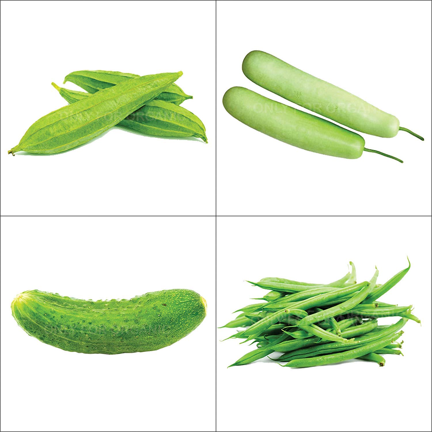 OMG ORGANIC SEEDS ! Vegetable Combo of Cucumber 50 Seeds, Beans 50 Seeds, Bottle Gourd 20 Seeds, Ridge Gourd 20 Seeds. (B07MKVB1R8) Amazon Price History, Amazon Price Tracker