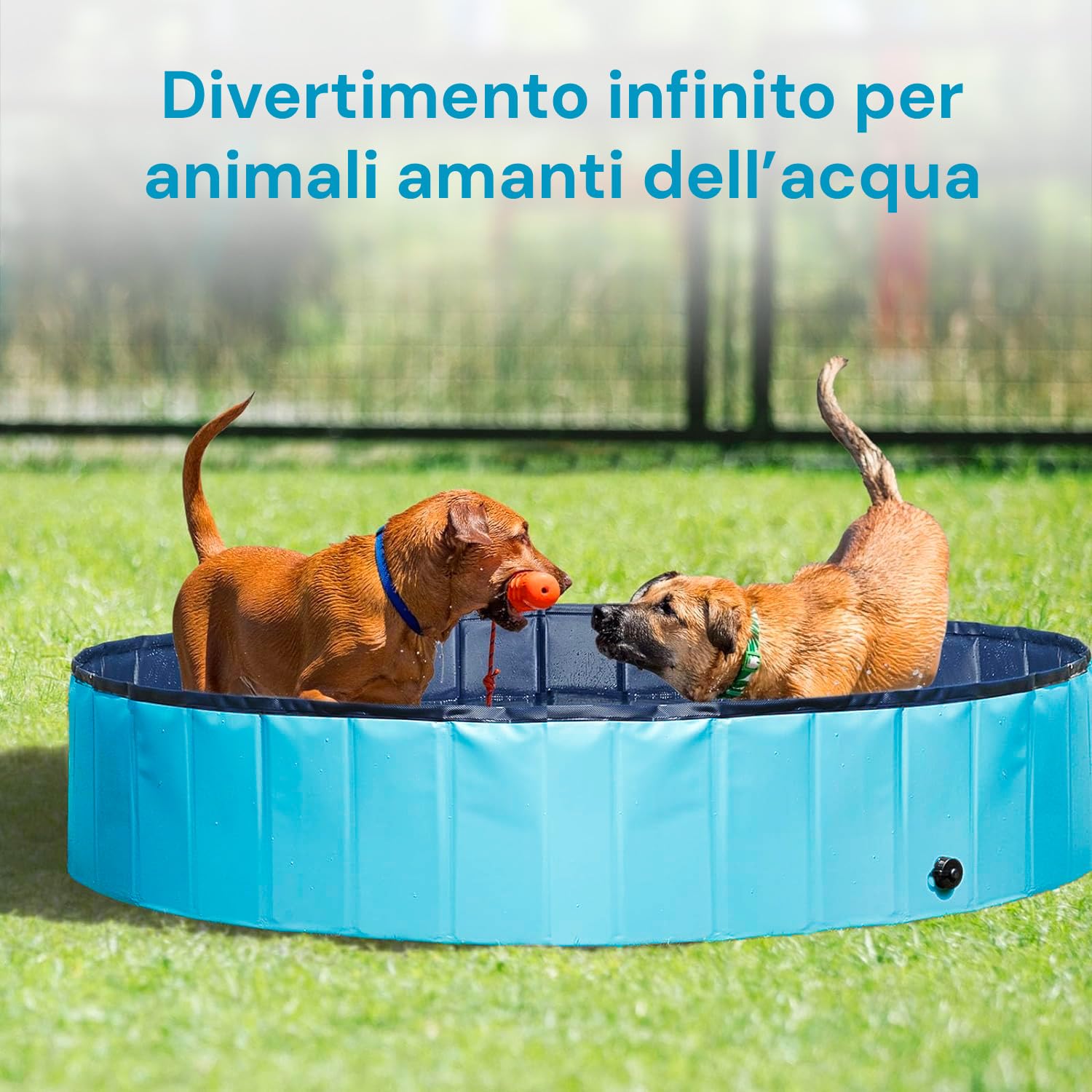 Wintem Piscina per Cani 160x160 cm Rotonda in PVC Resistente, Antiscivolo, Facile da Gonfiare - Ideale per Cani di Taglia Media, Piscina da Giardino per Animali