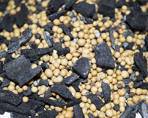 Miniatura 2 de Lewis Bamboo - Fertilizante Biochar 18-5-12 (bolsa de 10 libras) - Fertilizante de liberación temporal con carbón vegetal