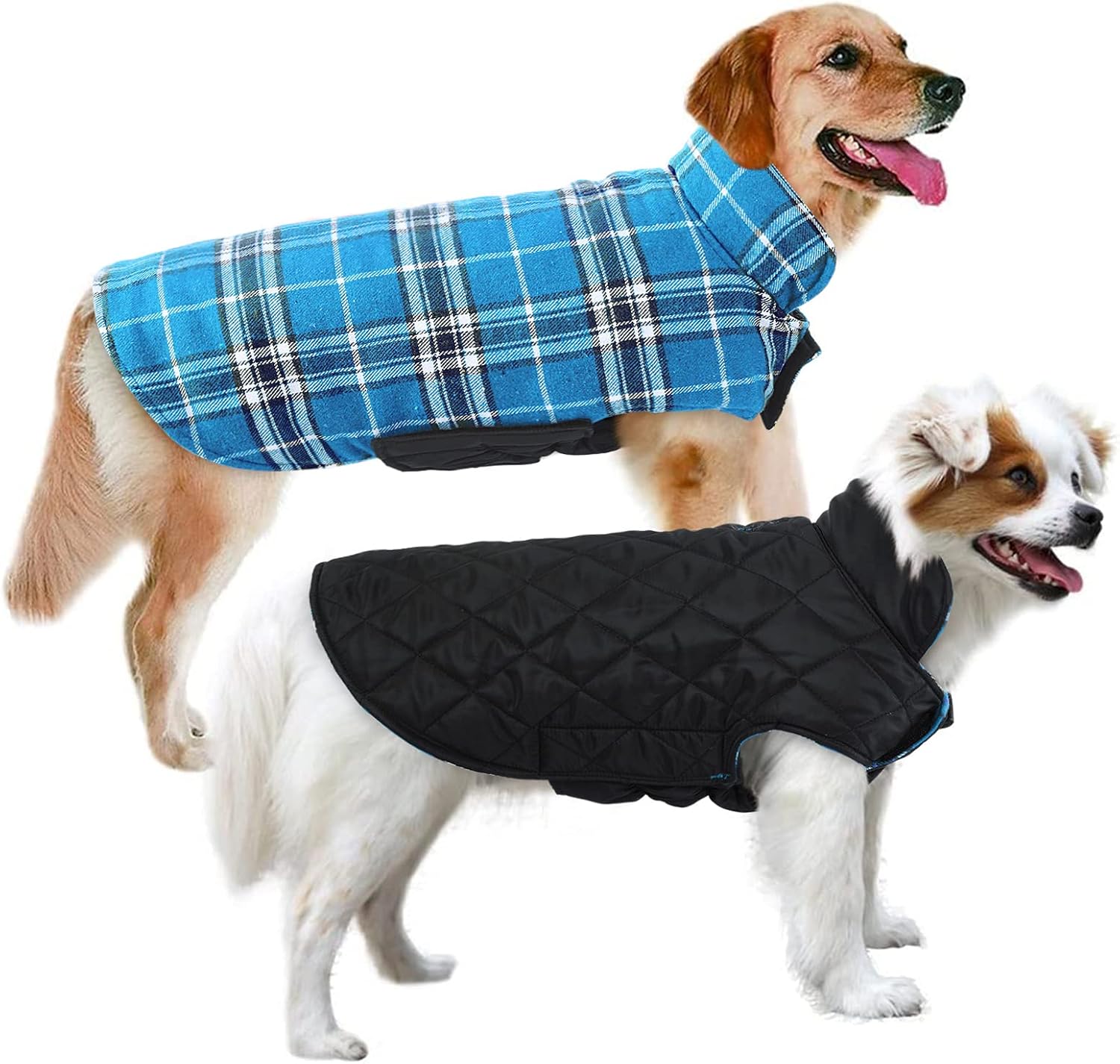large dog jumper