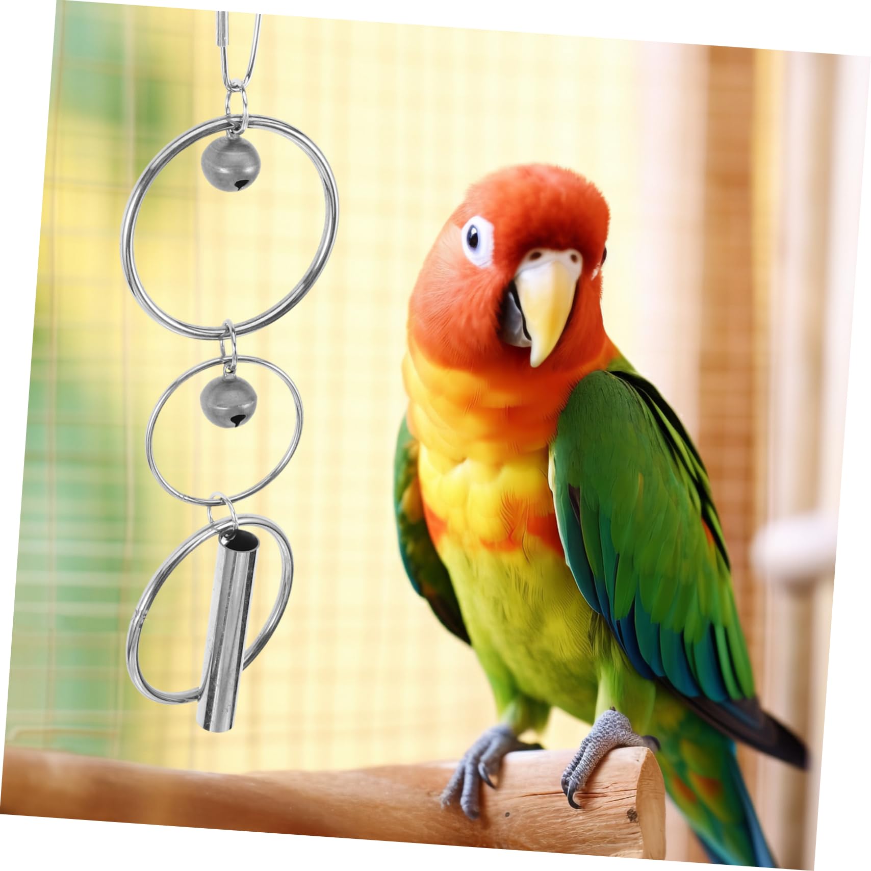 Yardwe 5stücke Parakeeten Spielzeug Mit Hängendes Vogelspielzeug Für Papageien Und Wellensittiche Und Langlebig Für Käfige Kauspielzeug