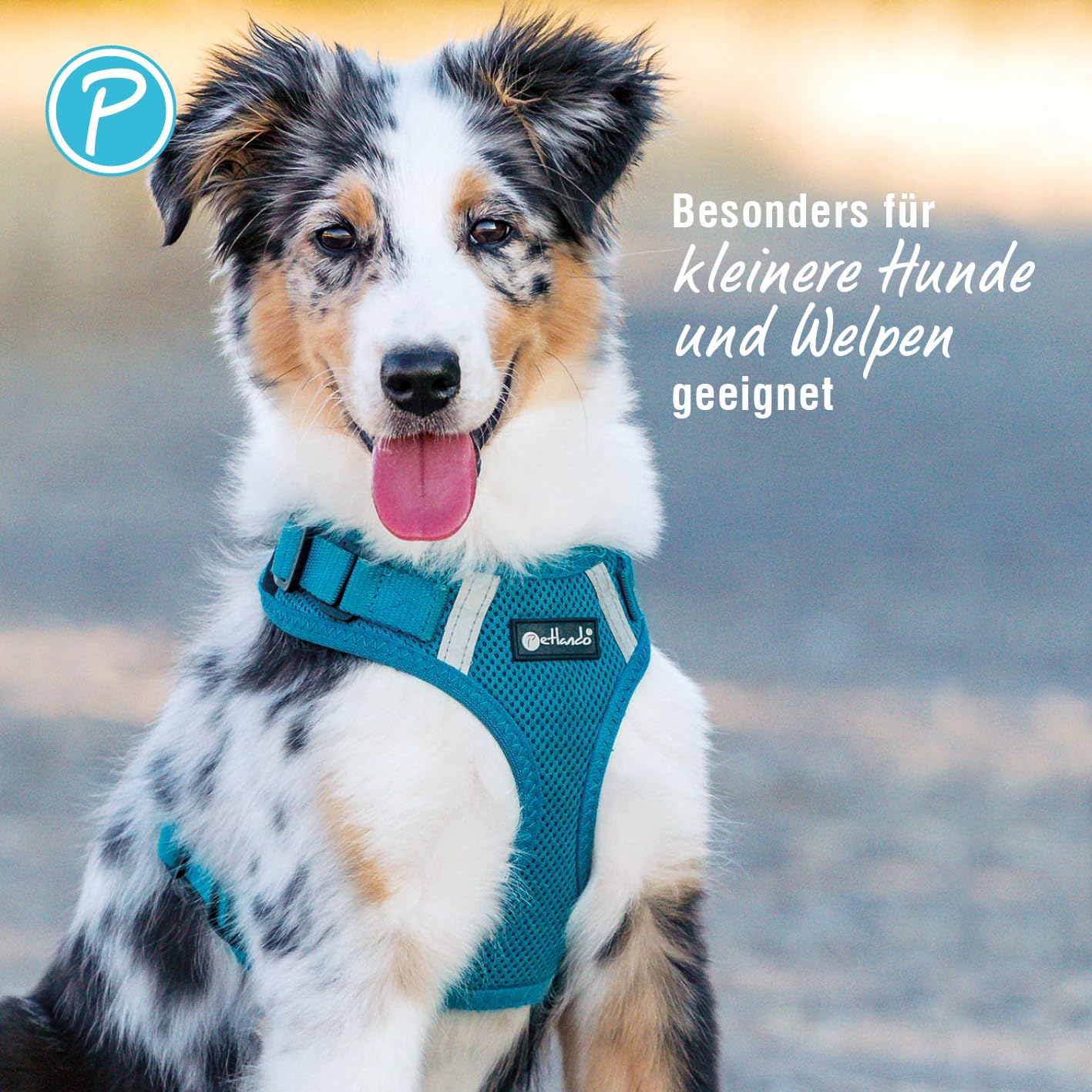 Petlando Hundegeschirr Mesh Vest, leichtes Brustgeschirr aus weichem Mesh & Nylon, stufenlos verstellbar, reflektierend mit 2 D-Ringen, Petrol L, Geschirr Hund gepolstert