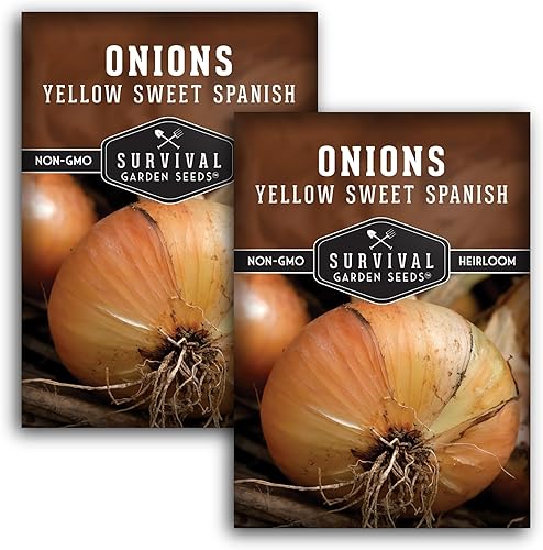 Miniatura 10 de Semilla de cebolla española dulce amarilla para plantar, 1 paquete con instrucciones para plantar y cultivar cebollas de día largo en el huerto de