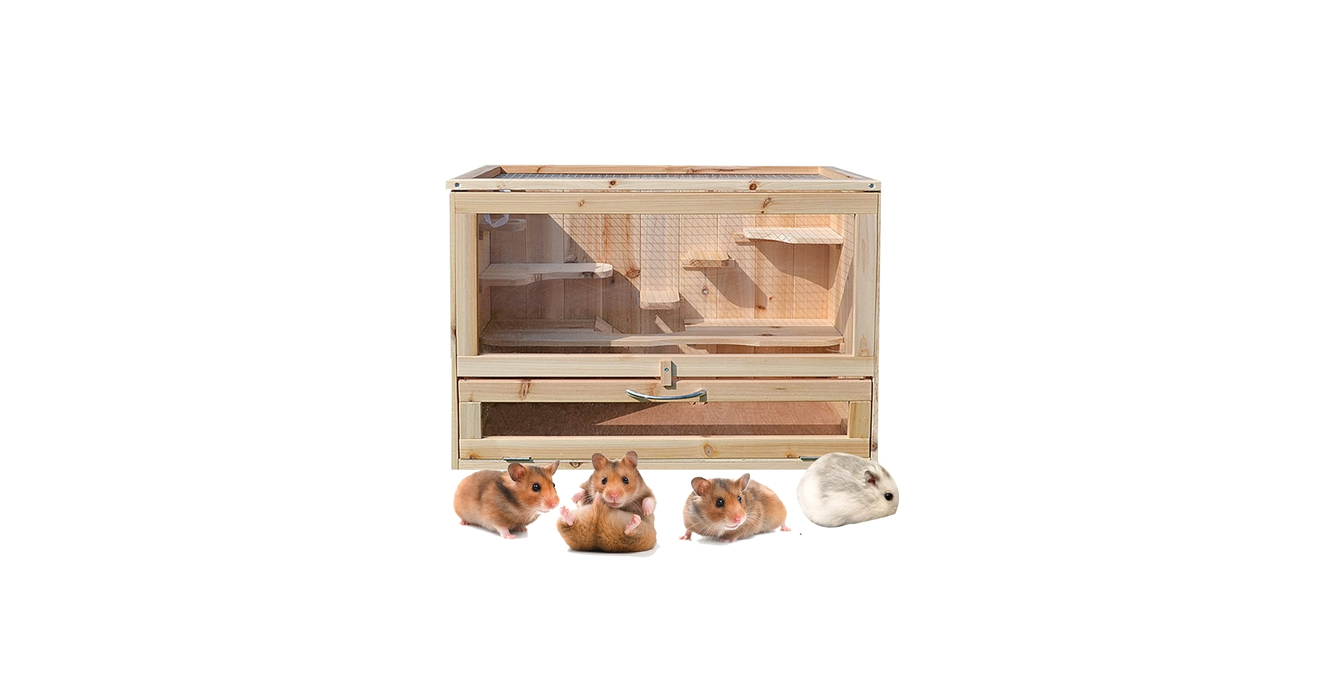 Amazon.co.jp: モモンガ ケージ フクロモモンガ ケージ 天窓付き