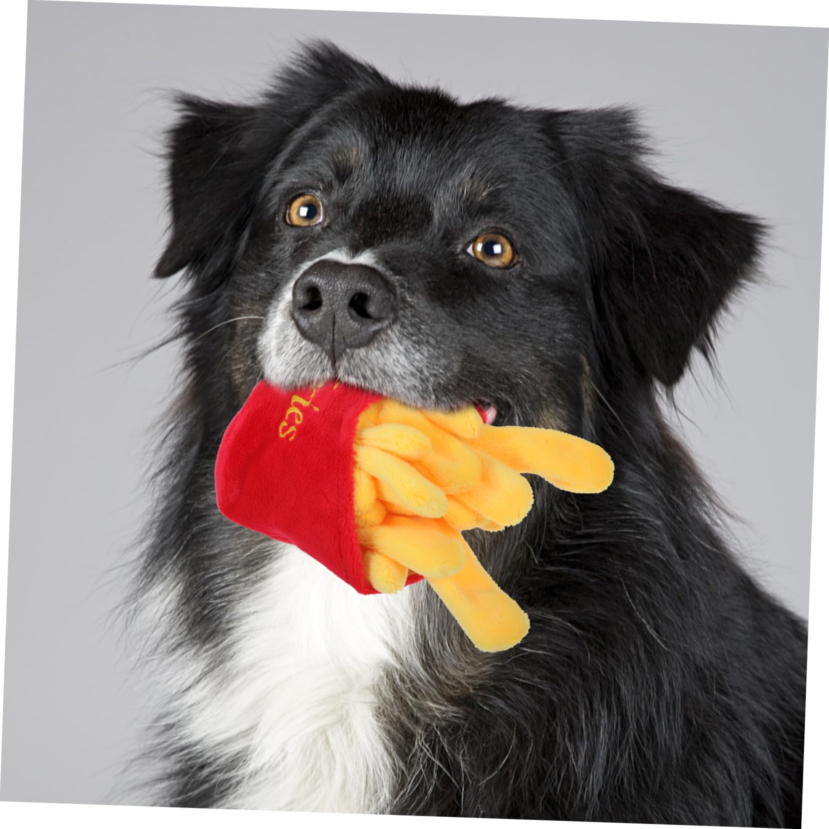 POPETPOP Jouet pour Chiens en Peluche Imitation Nourriture, Jouet Squeaky Résistant aux Morsures, pour Jouer et Mastiquer, Matière Peluche Douce et Solide