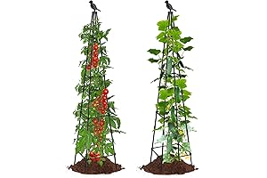 2-Pack Expanding Garden Trellis: 6ft Plant Support for Climbing Plants
