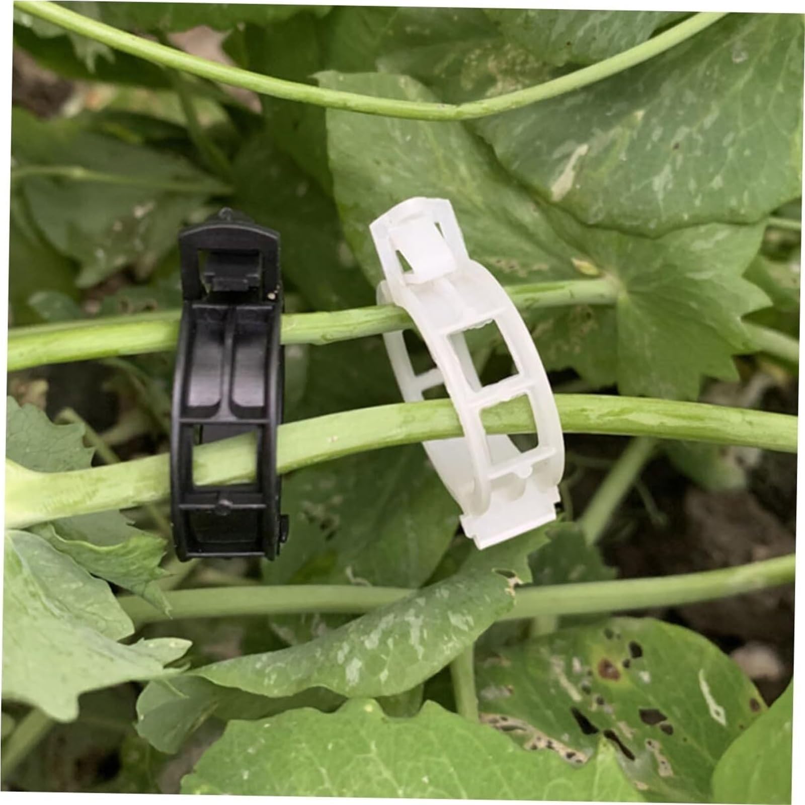 Mollette di sostegno per rampicanti da giardino, Clip for piante da giardino da 500 pezzi: supporti for stelo, clip di supporto for vite, materiale PP