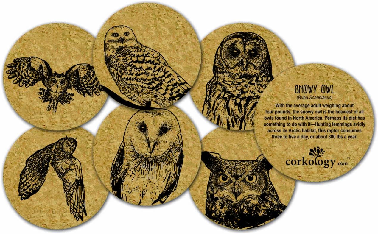 Owls Coaster Set, Cork