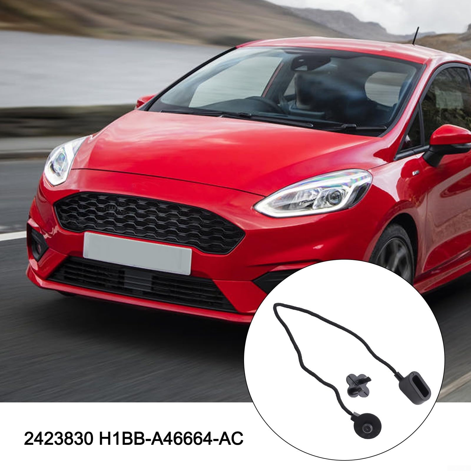 Cordon Étagère Arrière SG Store 2423830 - Compatible Ford Fiesta MK8 Essence 2017-2021 | Sangle Coffre Noire