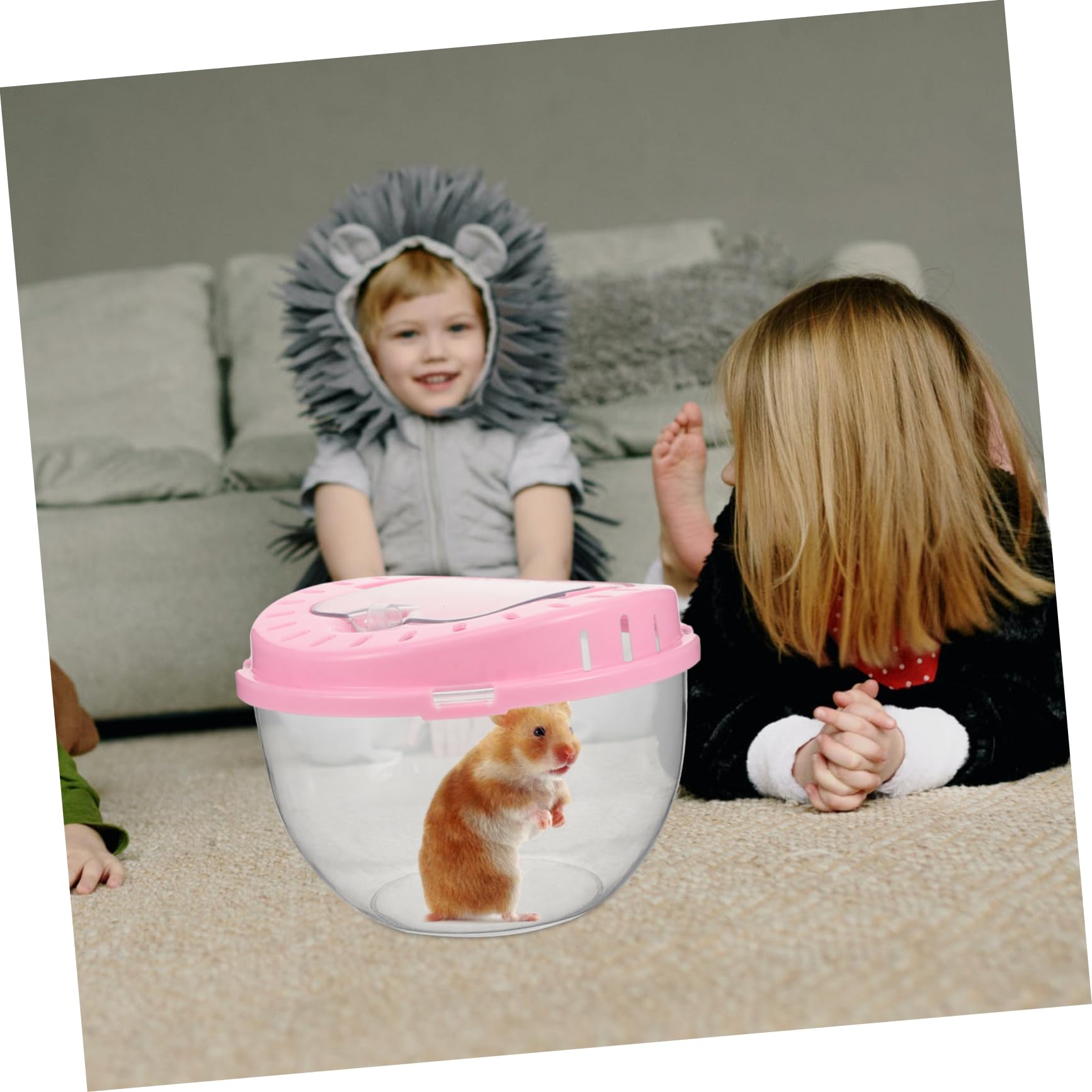 HANABASS Kleiner Transparenter Hamsterkäfig aus Kunststoff mit Belüftung Tragbare Haustier Transportbox für Hamster Meerschweinchen Kleintiere Outdoor Reisebox