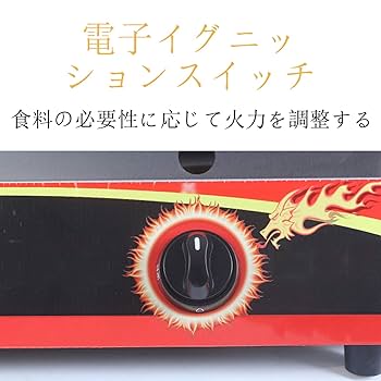 Amazon.co.jp: ガスフライヤー 20L大容量 2槽式 ステンレス鋼