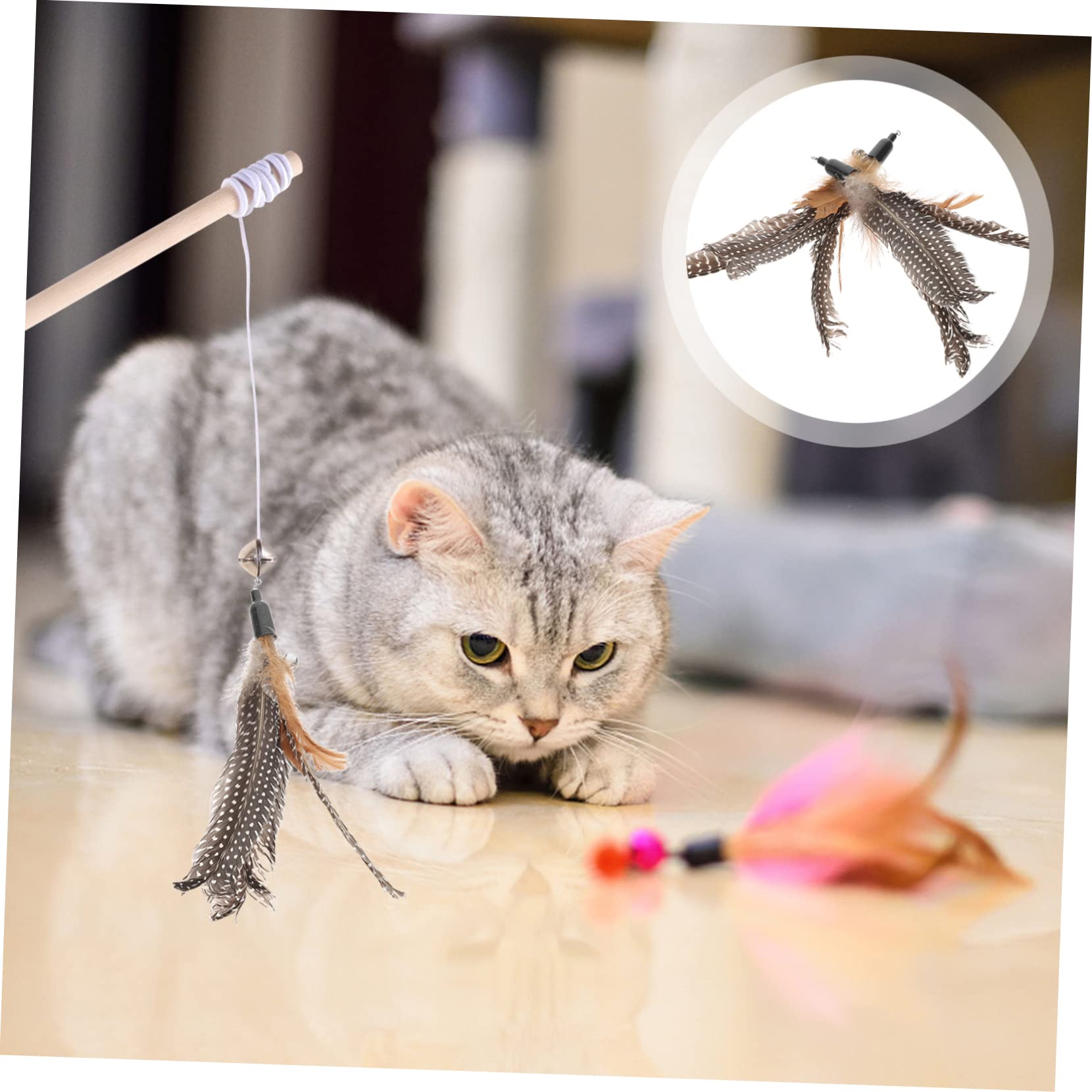 FOMIYES Lot De 5 Pièces De Rechange pour Jouets pour Chats Jouets Interactifs À pour Chatons 8 Pièces X 5