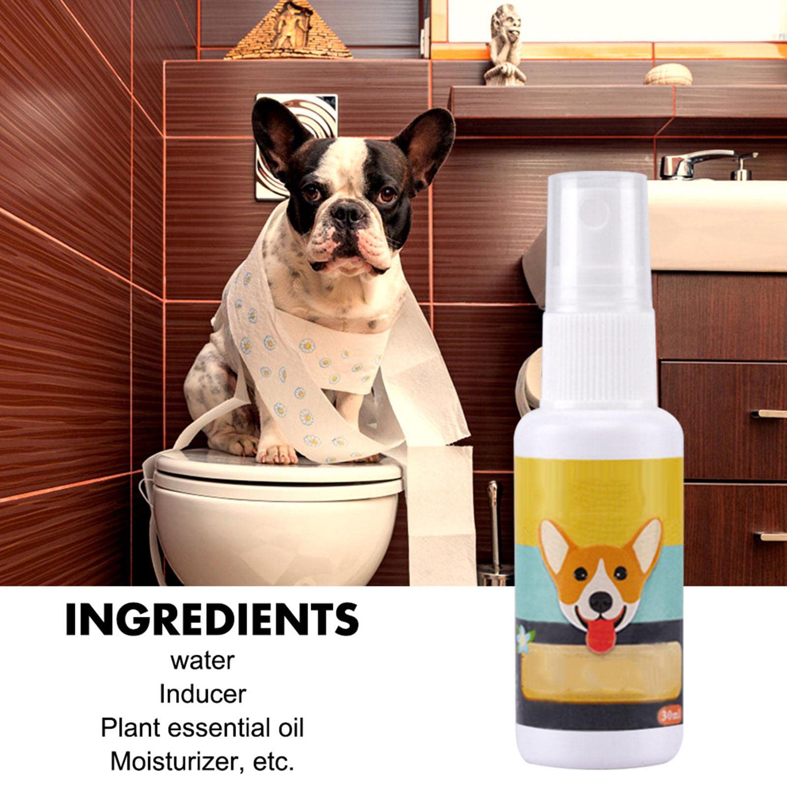 Hunde Trainingsspray 200ml - Lockstoff Für Stubenreinheit & Geruchsentferner
