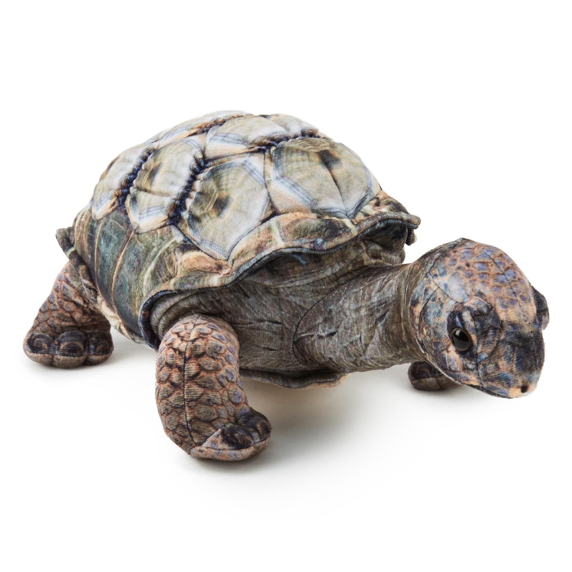 Zappi Co Aldabra Tortoise 31 cm Plush Toy Realistic Soft Cuddly Animal, Lifelike Detail, Perfect for Playtime & Collectors, (31cm Length)