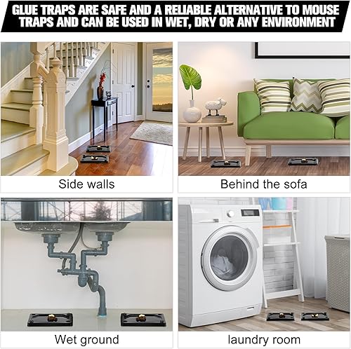 Miniatura 5 de Qualirey 24 trampas de pegamento para ratones e insectos, adhesivo de plástico, serpiente, insectos, para usar en interiores (3 x 5 pulgadas)
