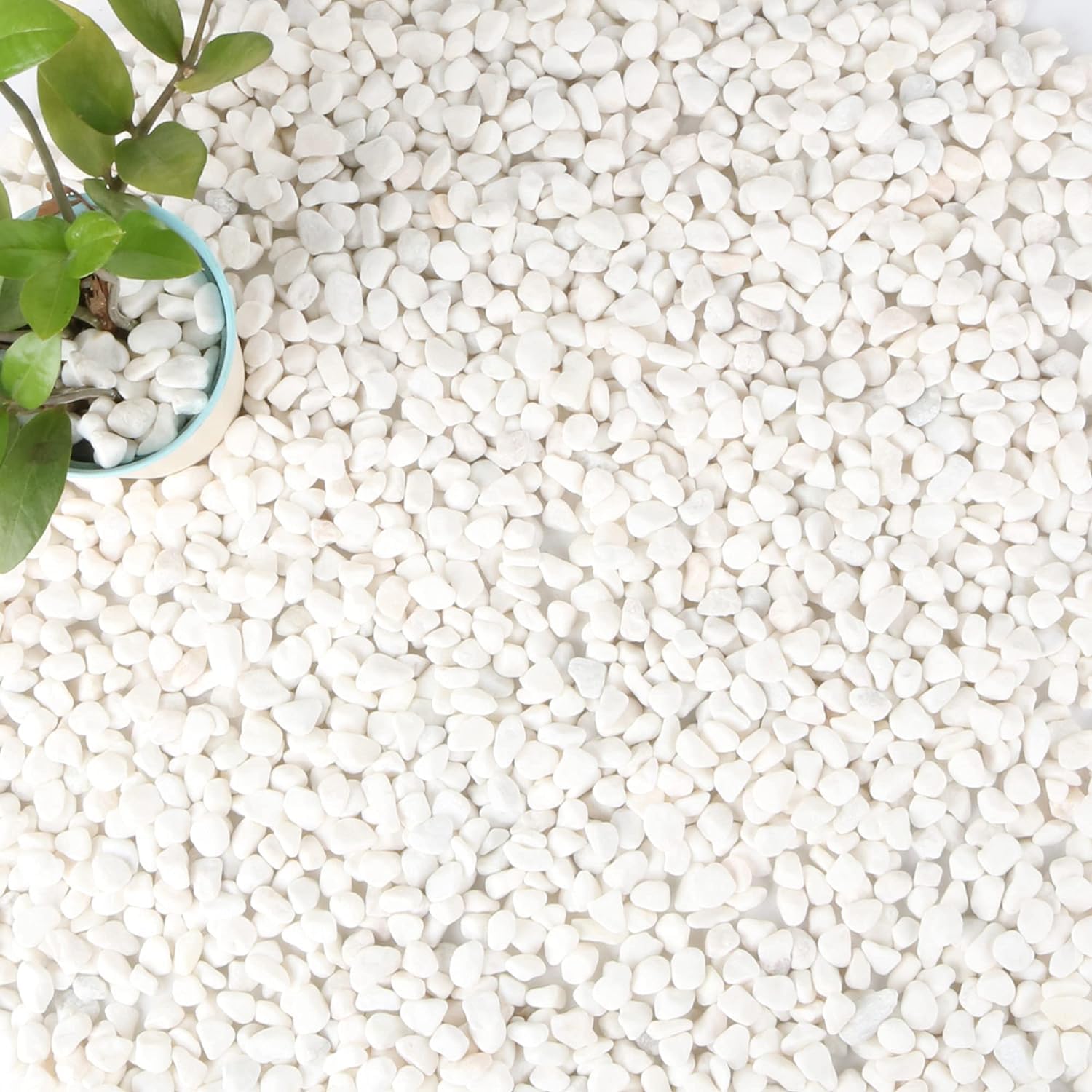 Pietre Decorative Bianche, Piccola Ghiaia da Giardino, Ciottoli di Fiume in Granuli per Acquario, Vaso di Fiori, Riempimento di Vasi e Decorazione del Giardino 9-12 mm (1kg/2.2 lbs)