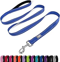 Penseepet 6FT Reflective Nylon Dog Leash with Padded Handle for Medium Dogs - Blue, Durable & Safe Night Walks